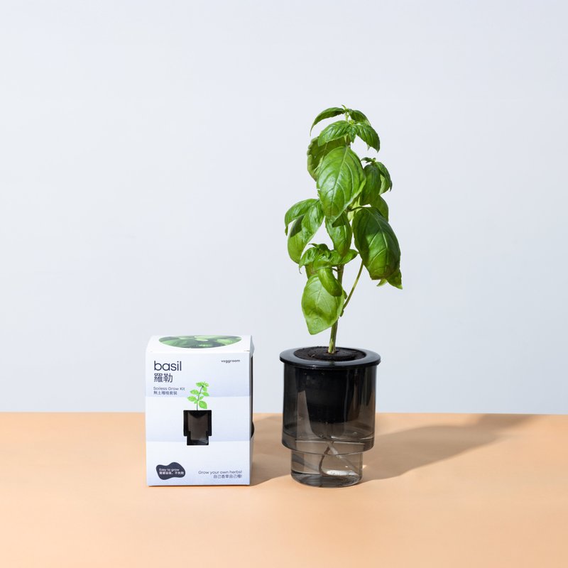 Veggroom 水耕羅勒種植套裝 - 花藝/盆栽/植栽 - 植物．花 灰色