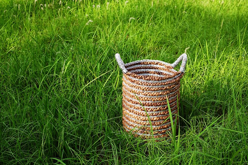 Water hyacinth basket - กล่องเก็บของ - พืช/ดอกไม้ 