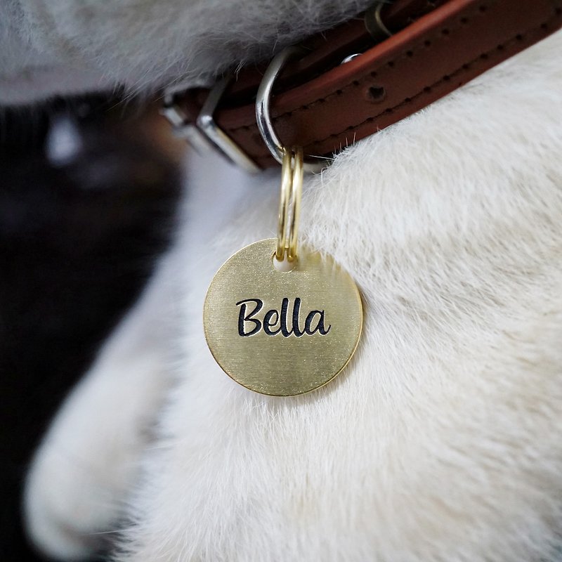 Brass Cat Tag, Custom Cat Tag, Cat ID Tag, Personalized Cat Tag, Kitten Tag - Collars & Leashes - Copper & Brass Gold