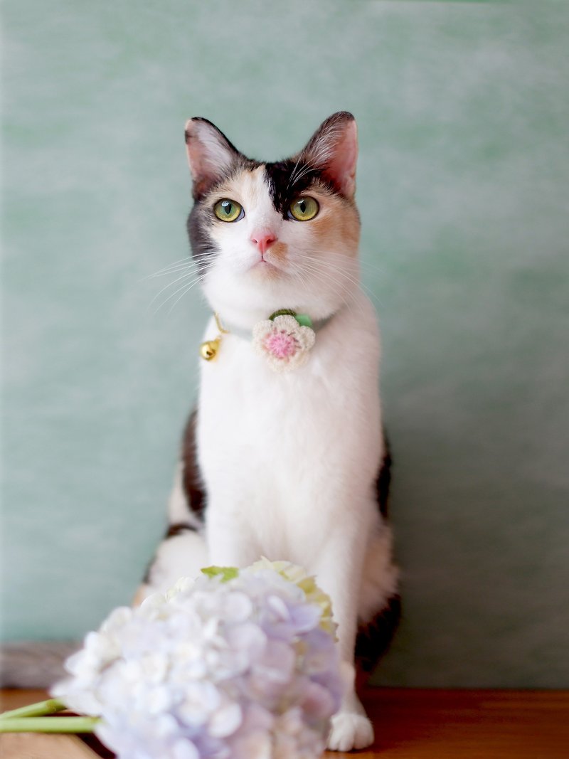 : MINI MALA :  breakaway cat collar with knitted flower - 項圈/牽繩 - 棉．麻 多色