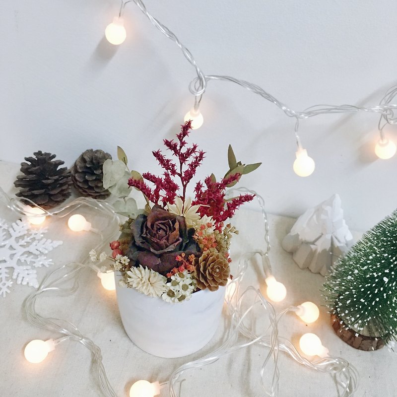 Christmas limited | cement dry pot flower - ช่อดอกไม้แห้ง - พืช/ดอกไม้ สีแดง