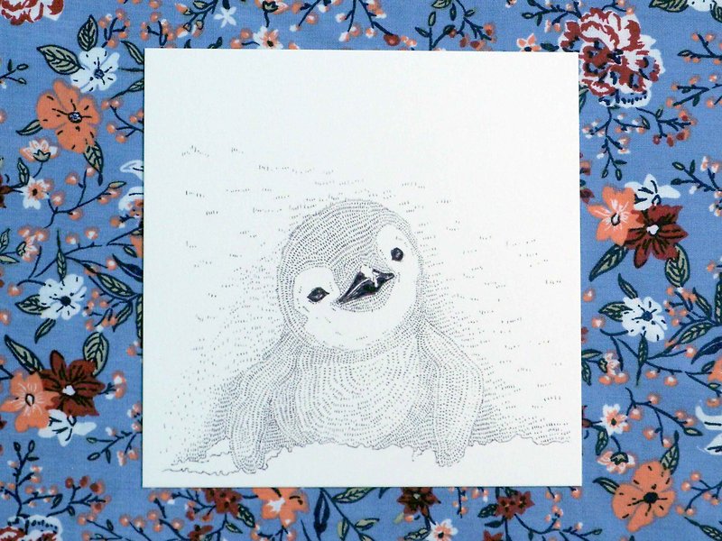 企鵝 小正方明信片套裝 - 卡片/明信片 - 紙 藍色