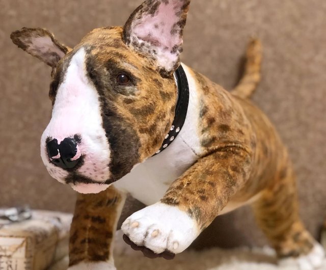 bull terrier toy