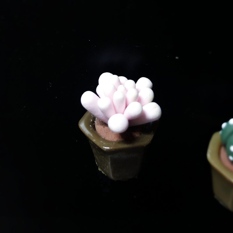 Q版多肉植物花盆磁石 - 磁鐵 - 黏土 