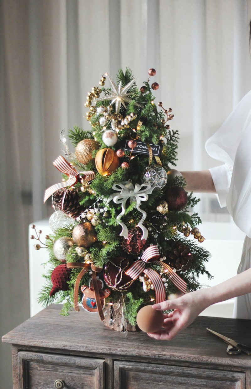 金色禮讚【新鮮聖誕樹】諾貝松與雪松 聖誕樹 - 盆栽/植栽 - 植物．花 多色