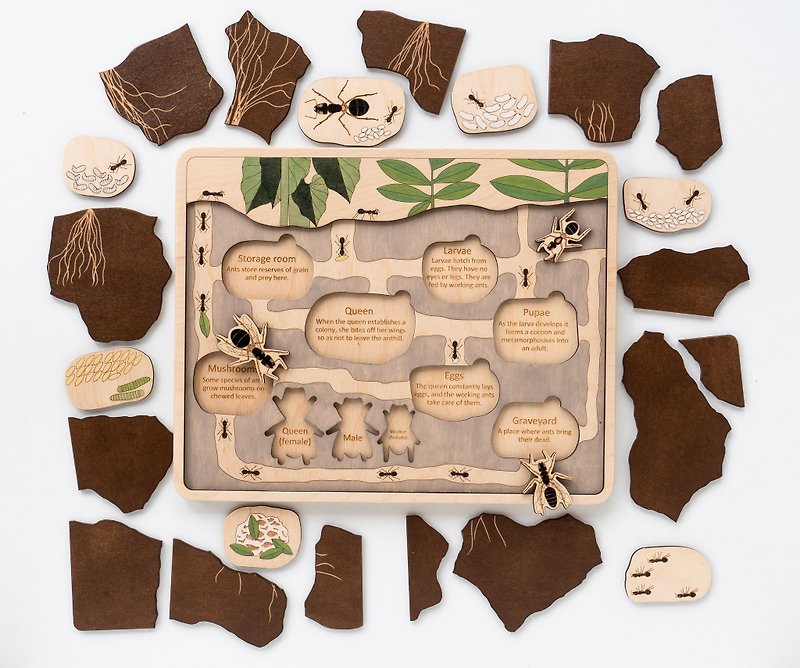 木製パズルアントヒルモンテッソーリ木製アリおもちゃ教育オリジナルおもちゃ木製 - 知育玩具・ぬいぐるみ - 木製 ブラウン