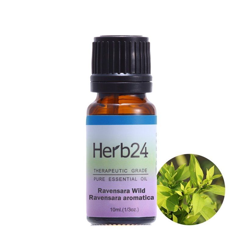 羅文沙葉 純質精油 10ml - 香氛/精油/擴香 - 精油 