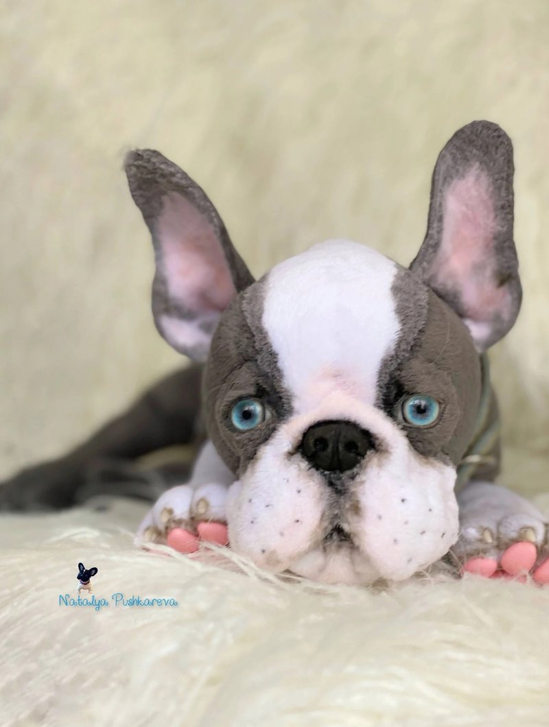 boston terrier puppy, realistic dog - ตุ๊กตา - เส้นใยสังเคราะห์ สีนำ้ตาล