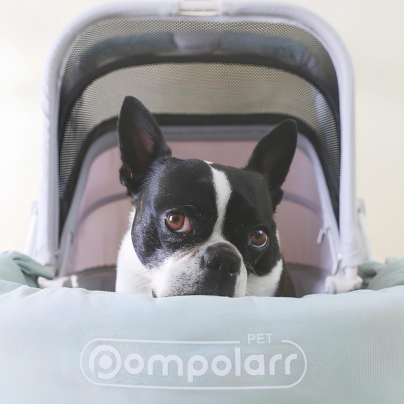 韓國 PompolarrPet 寵物推車配件推車保護套 - 寵物背包/寵物推車/外出籠 - 其他人造纖維 