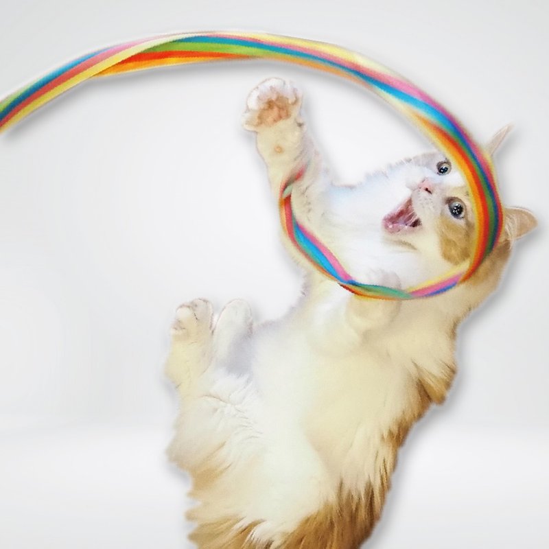 [Japanese CattyMan] Dance to your heart’s content! Soft-handled colorful streamer retractable cat wand - Pet Toys - Other Materials 