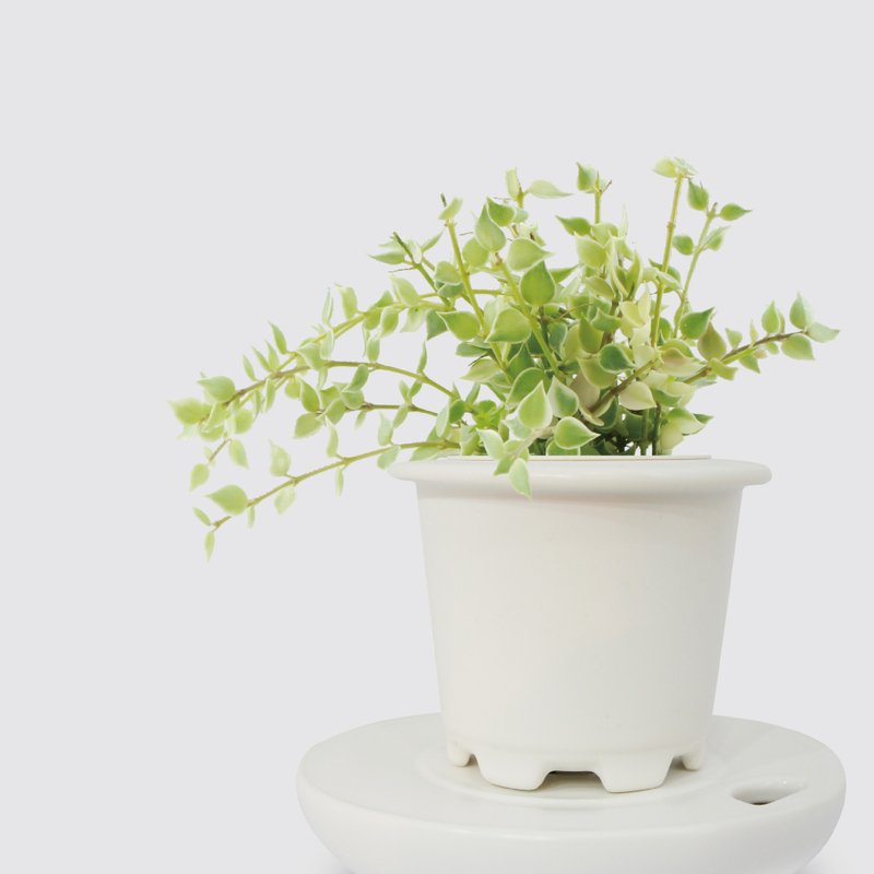 │ Kiln Porcelain Series│ Million Hearts - Hanging Plant Hydroponic Potted Porcelain - ตกแต่งต้นไม้ - พืช/ดอกไม้ 