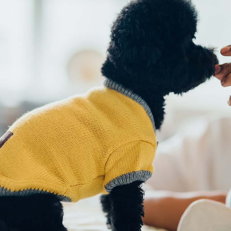 [Tail and me] pet clothes half-fronted sweater yellow - Clothing & Accessories - Other Man-Made Fibers Yellow
