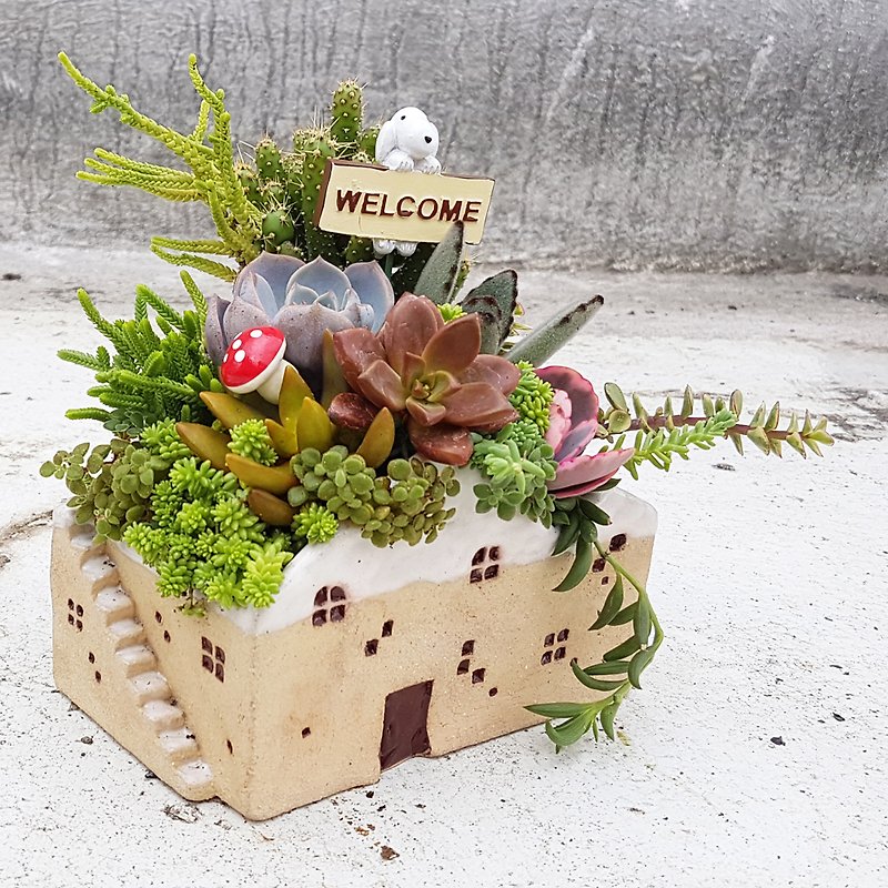 The large snow house 3 (With Succulents) - ตกแต่งต้นไม้ - ดินเผา ขาว
