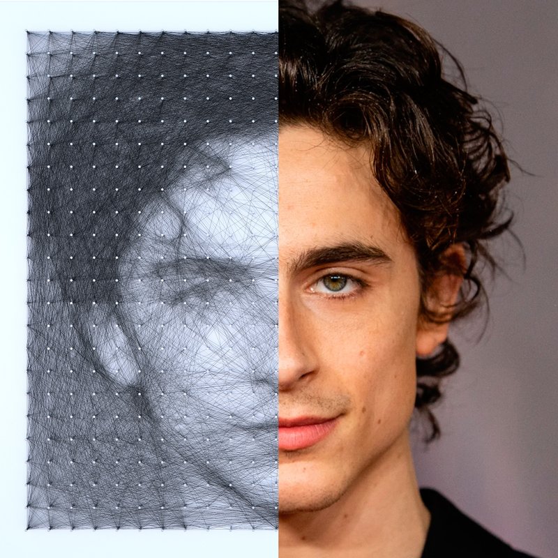 String Art Thread Wall Panel Photorealistic Timothee Chalamet for Home Decor - 壁貼/牆壁裝飾 - 繡線 黑色