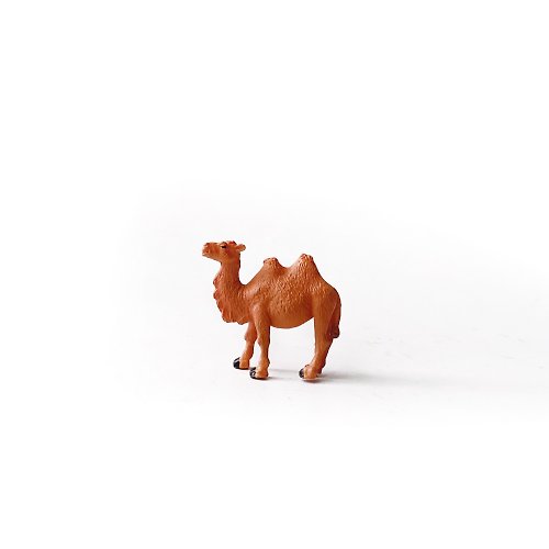 Ninan 泥喃｜水泥手作工作室 (現貨) 盆栽裝飾 沙漠動物-駱駝 微景觀擺飾