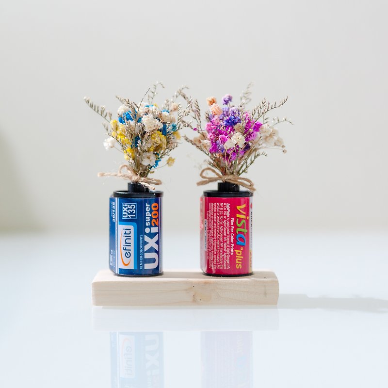 Dried flowers in film cans (a set of two with base) - Plants - Other Metals 