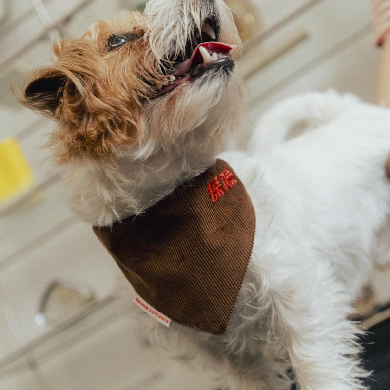 [Pre-order] Corduroy Adventure Double Layer Pet Scarf (American Brown) - Collars & Leashes - Cotton & Hemp Brown