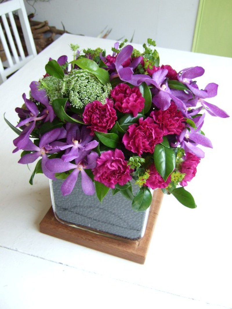 Elegant purple - Plants - Plants & Flowers Red