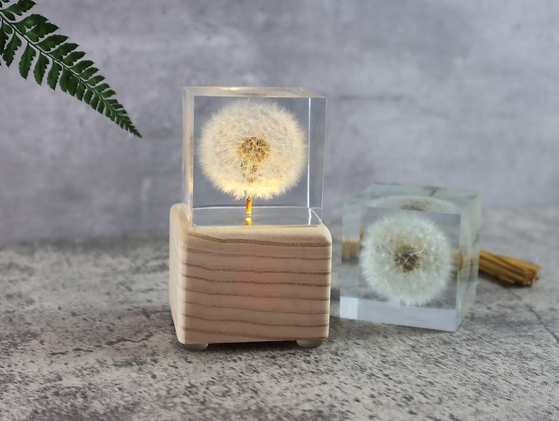 Mengtianya Dandelion Ice Brick~Music Box (square 5cm) Wind-up with light - Items for Display - Resin White