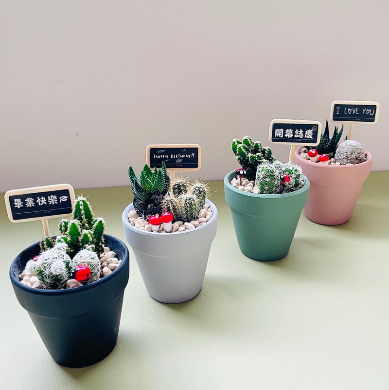 【寂しくなかったら驚きます】頑固なサボテンDIYギフトボックスセット卒業祝い誕生日プレゼントを贈ろう - フラワー/ガーデン - 寄せ植え・花 