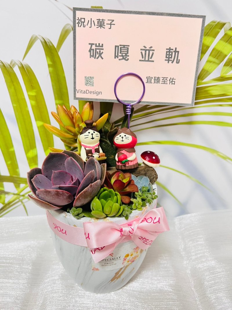 質感素雅客製組盆 開幕誌慶 新居落成 升官喬遷 婚禮 生日交換禮 - 盆栽/植栽 - 水泥 白色