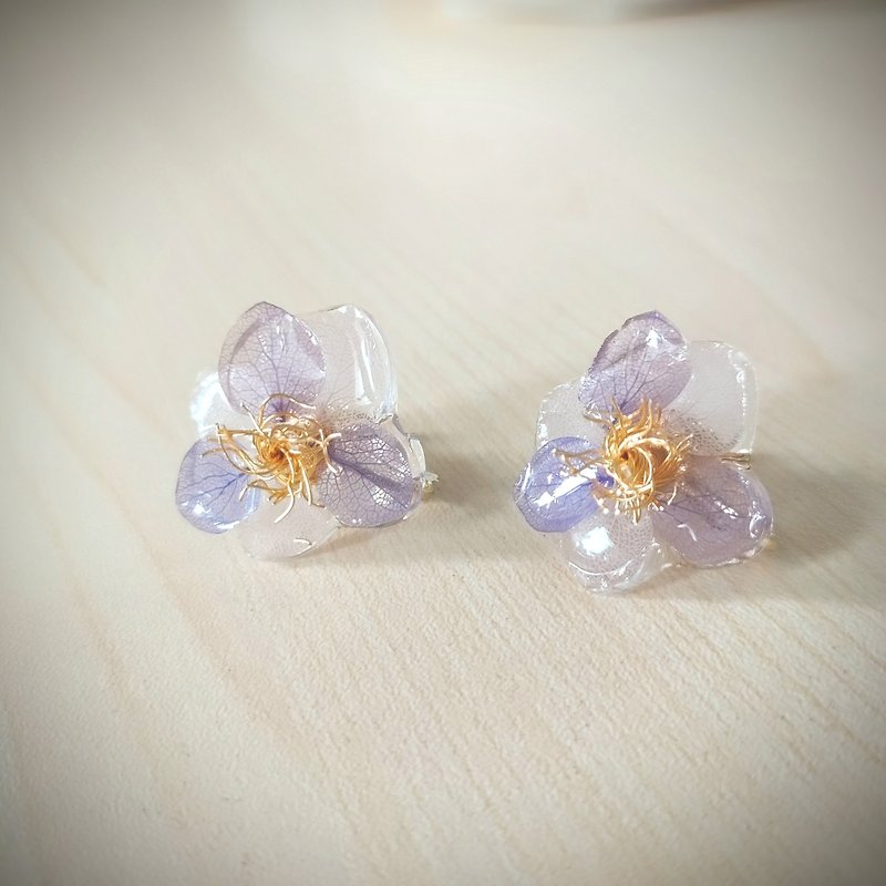 Natural preserved flowers and foliage earring  ( white )) - Earrings & Clip-ons - Plants & Flowers Purple
