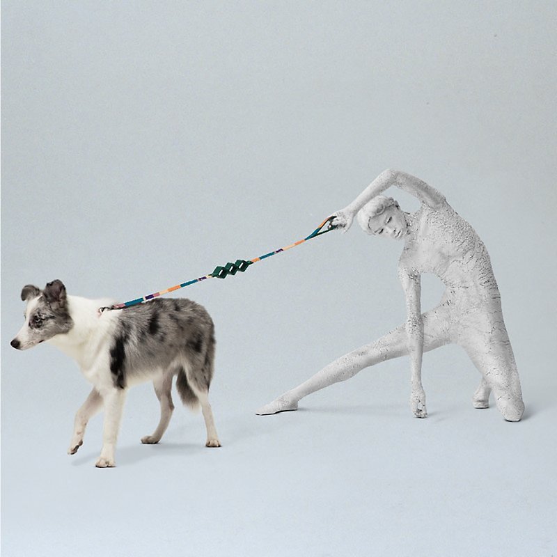 pidan 菱形/圓形 減震牽繩 兩色 - 貓狗頸圈/牽繩 - 聚酯纖維 多色