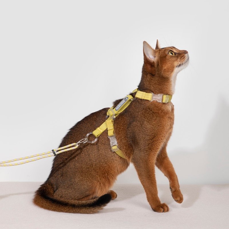 【HiDREAM】啵啵系列 自由探索貓胸背牽引繩套裝 (多色) - 項圈/牽繩 - 尼龍 多色
