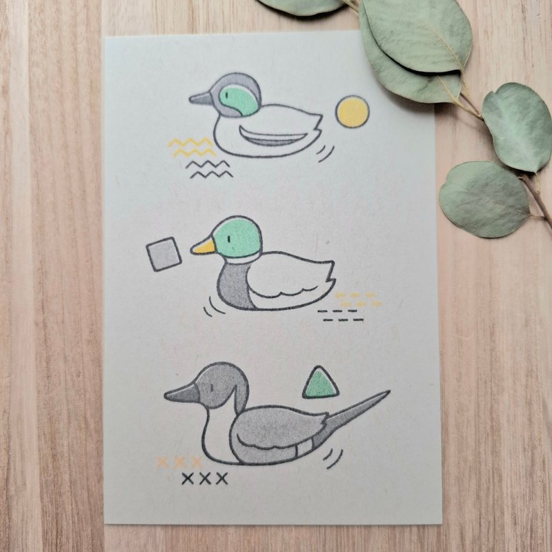 ポストカード 3種のカモ - はがき・メッセージカード - 紙 
