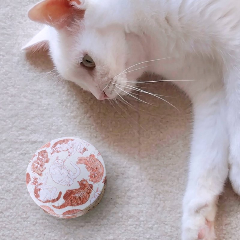 【超萌聖誕裝扮】1553 喵 這麼可愛不摸嗎 75g 送禮 貓咪 - 乳霜 - 其他材質 