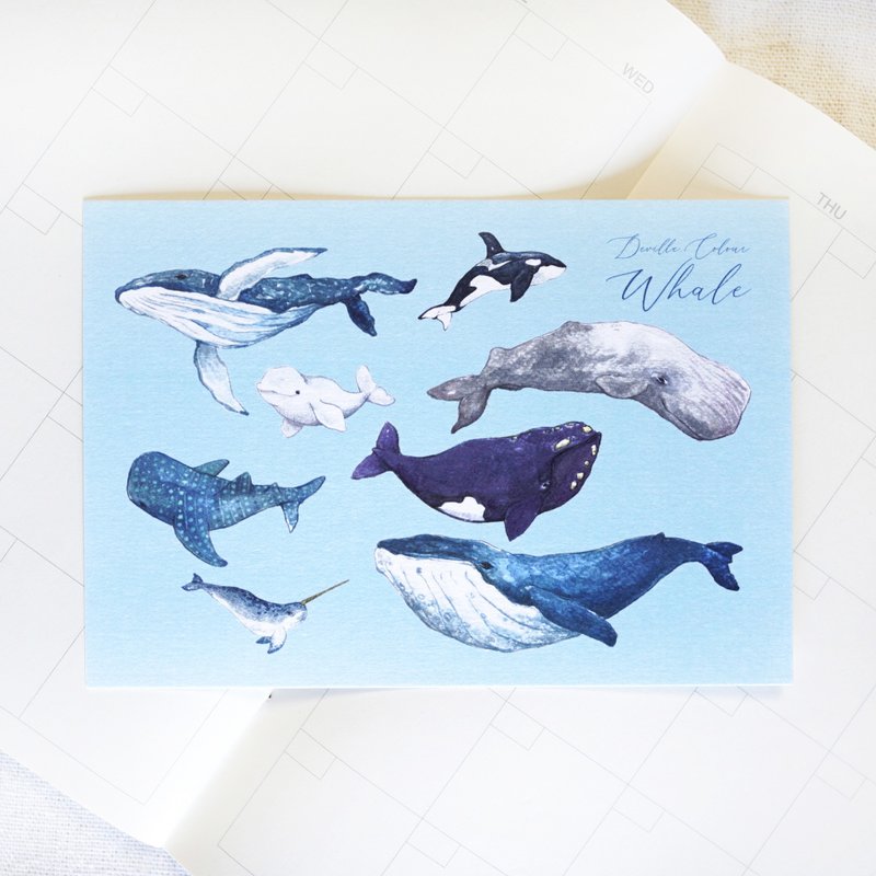 【クジラの行方 8匹のクジラ】水彩クジライラスト ポストカード - はがき・メッセージカード - 紙 ブルー