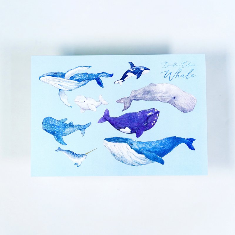【鯨歸何處】 水彩插畫 自然圖鑑明信片 鯨魚 鯨落 海洋 藍色 - 卡片/明信片 - 紙 藍色