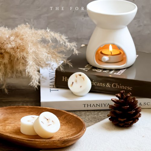 癒森林 The Forest 喀拉拉秘境手工香氛蠟塊4入組