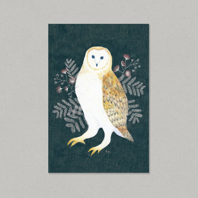 Animal Postcard /  Barn Owl - Cards & Postcards - Paper Black