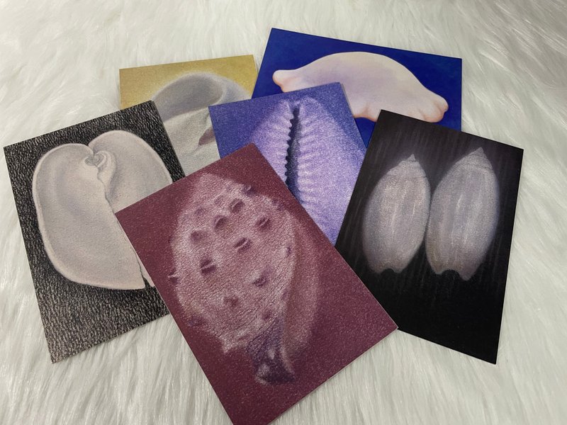 Pastel shell series postcards - การ์ด/โปสการ์ด - กระดาษ หลากหลายสี