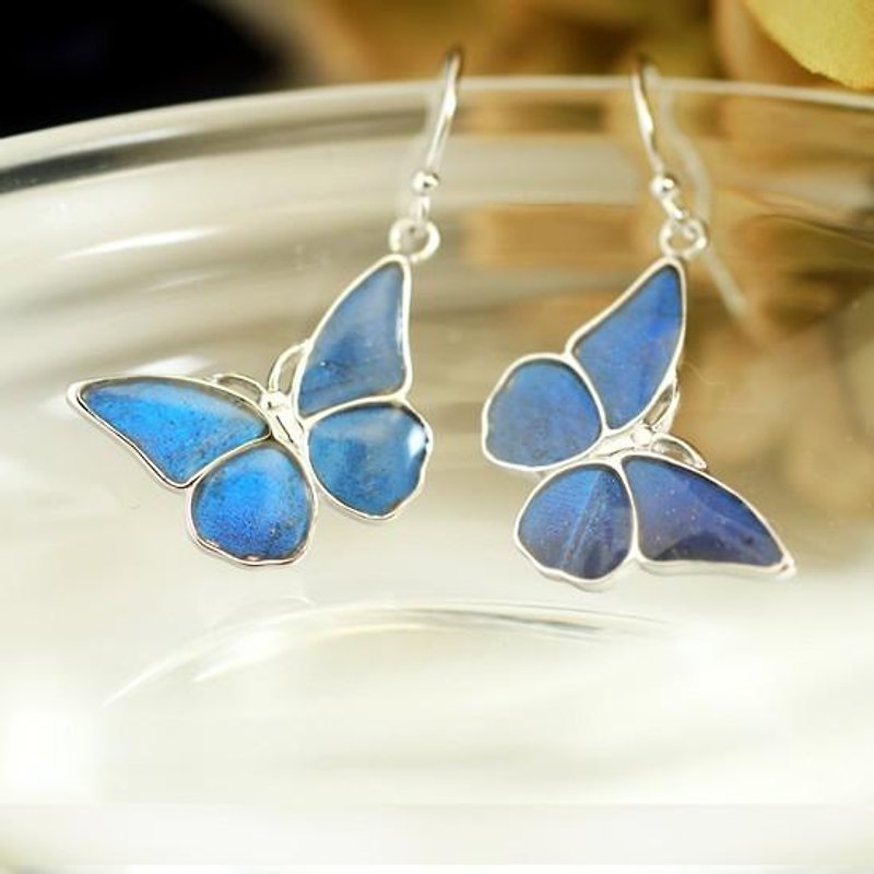 Morpho butterfly's small earrings SILVER - Earrings & Clip-ons - Other Metals 