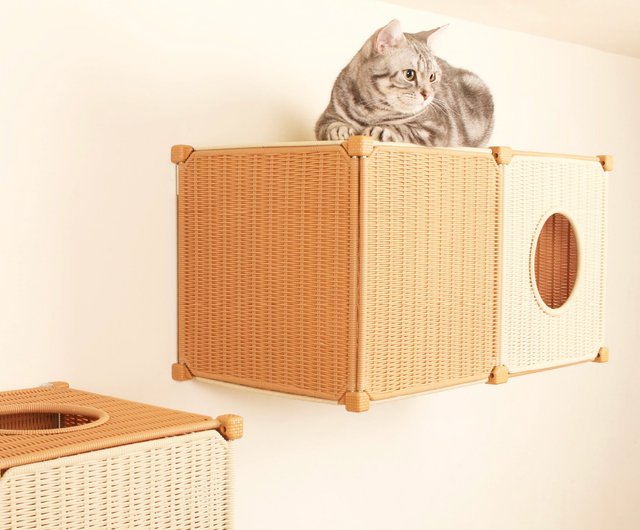 Wicker cat basket outlet pets at home