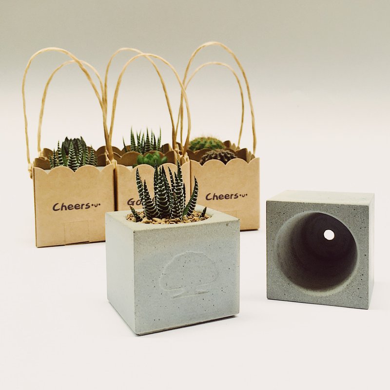 【客製化水泥花器】迷你仙人掌-企業贈品-婚禮小物(一組100個) - 盆栽/植栽 - 水泥 灰色