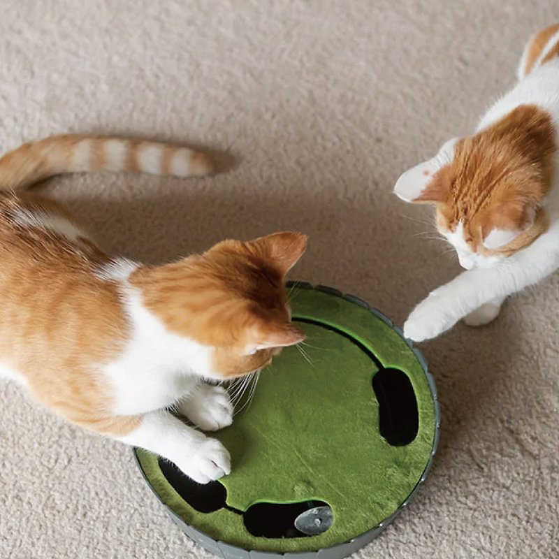 Cat Toys Tease Cat - Pet Toys - Eco-Friendly Materials 