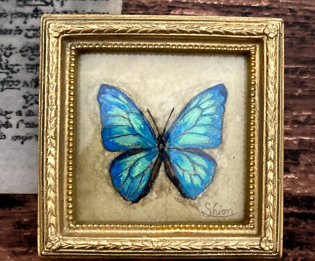 小さなモルフォ蝶の絵, Morpho adonis,額縁付き,原画