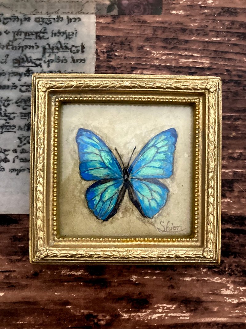 小さなモルフォ蝶の絵, Morpho adonis,額縁付き,原画,アンティーク風 - 海報/掛畫/掛布 - 紙 藍色