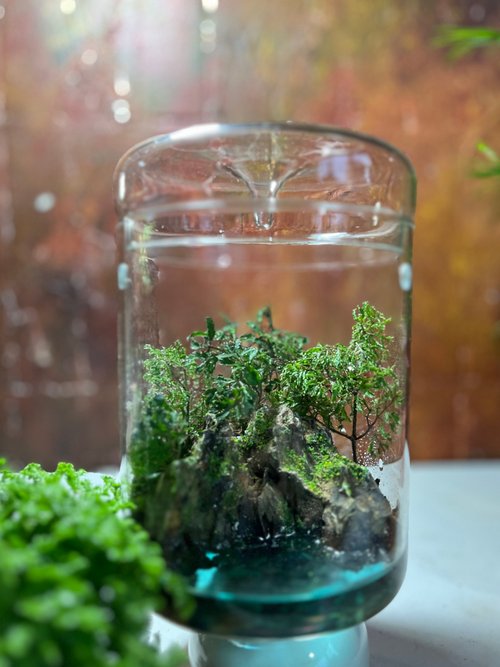 景觀丸藝 Verdant Wanderlust 【生態缸-山海之界】微景觀 室內植栽 禮物 辦公室擺設