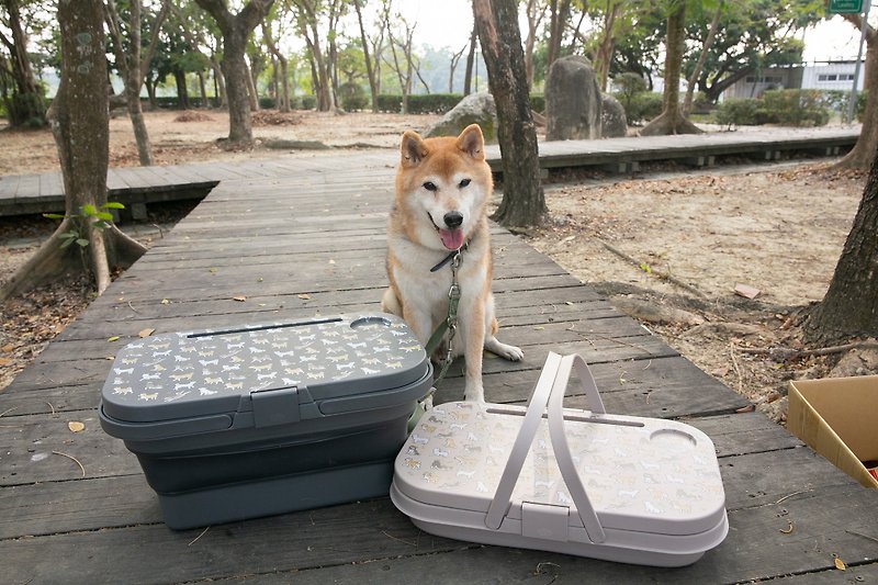 柴犬大學 滿滿柴多功能折疊野餐盒 手提野餐籃 柴犬週邊 露營用品 - 野餐墊/露營用品 - 塑膠 灰色