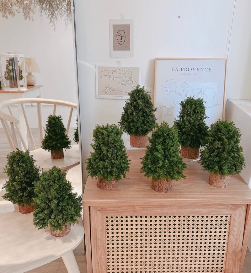 Preserved Christmas Wreath DIY Material Kit - Dried Flowers & Bouquets - Plants & Flowers 