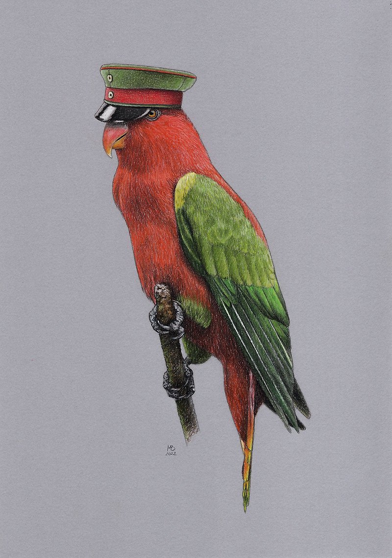 Original pastel drawing bird Chattering lory