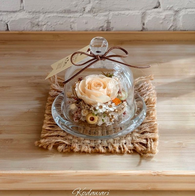 永生玫瑰花 永生花玻璃盅 祝賀花禮 生日.聖誕節禮物.交換禮物 - 乾燥花/永生花 - 植物．花 