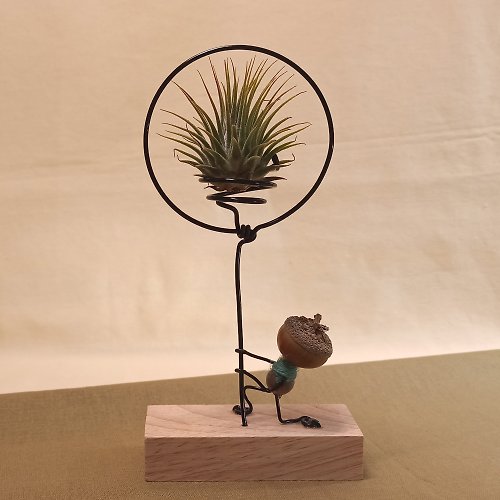 Planter art 植物玩藝 【空氣鳳梨氣球】小西石櫟空鳳架