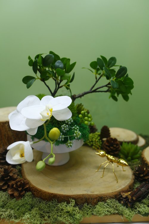 榆果傢飾 HUGO DECO 榕樹下的禪學 白蝴蝶蘭款香氛花禮/擬真植物/人造盆栽/綠化/佈置