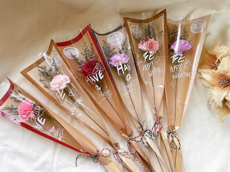 Ready stock for 24hr shipment/small carnation bouquet/single carnation/Mother's Day flower gift/industrial and commercial gift - Dried Flowers & Bouquets - Plants & Flowers 