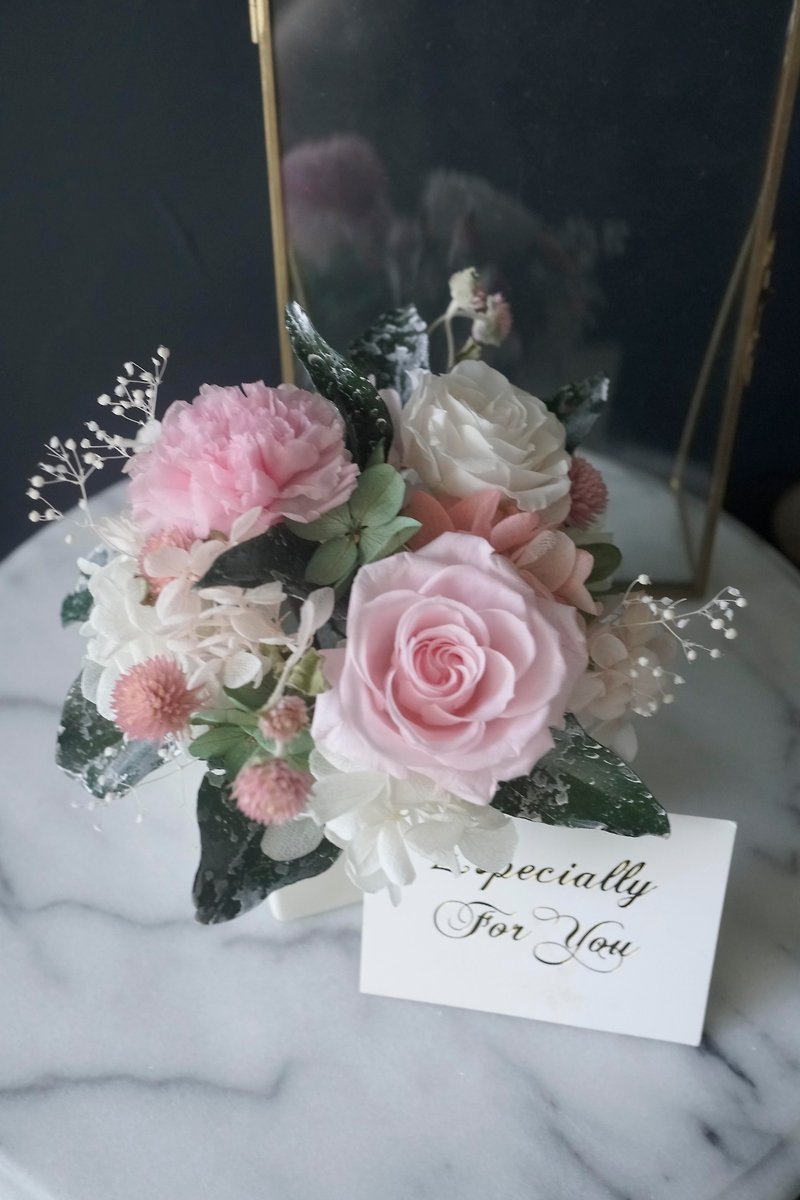 Mother's Day Flower Ceremony [Spring Garden] Pink Eternal Rose Carnations - Plants - Plants & Flowers Pink